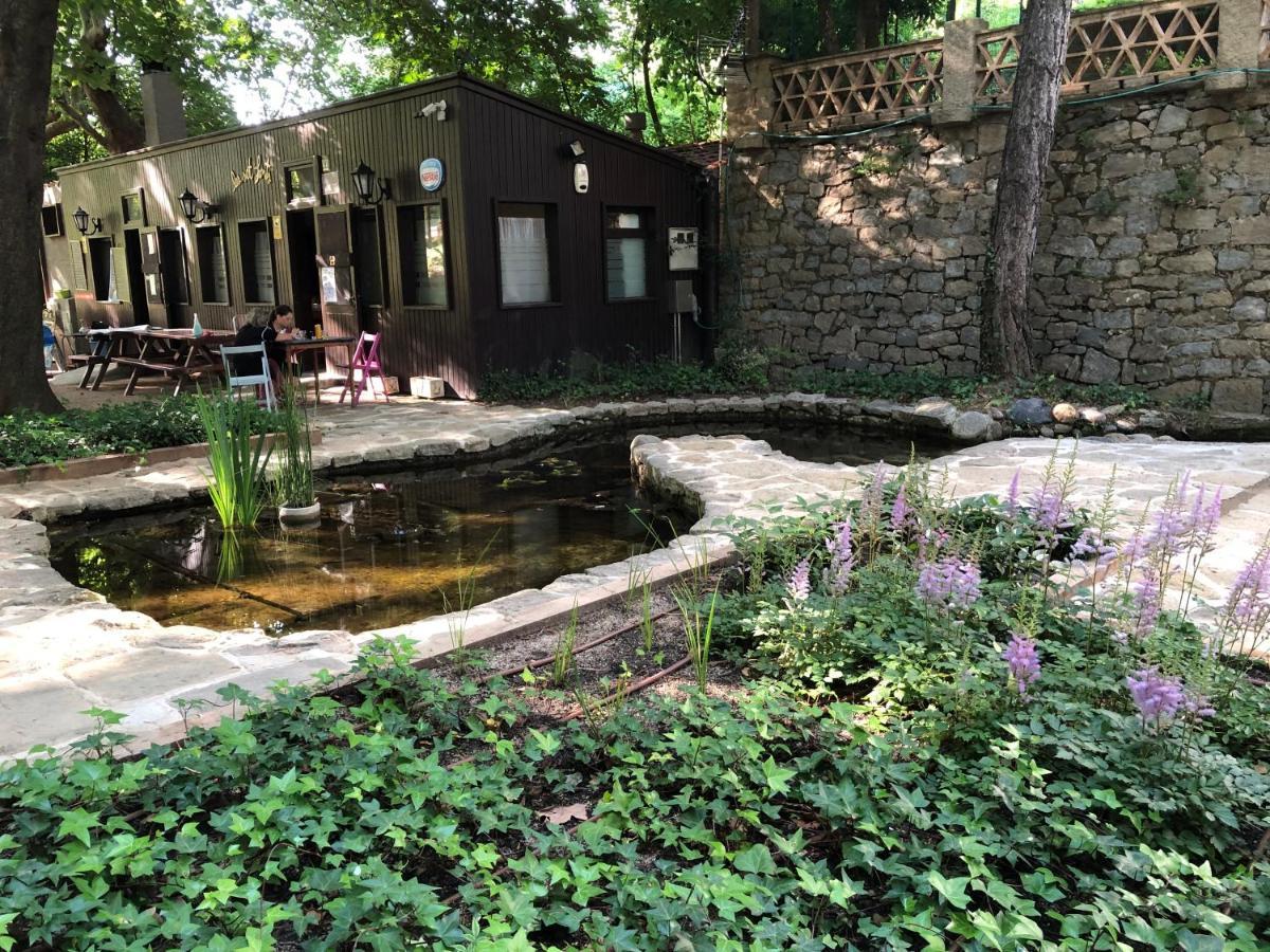 Sant Juliá de Vilatorta Escloper B&B المظهر الخارجي الصورة